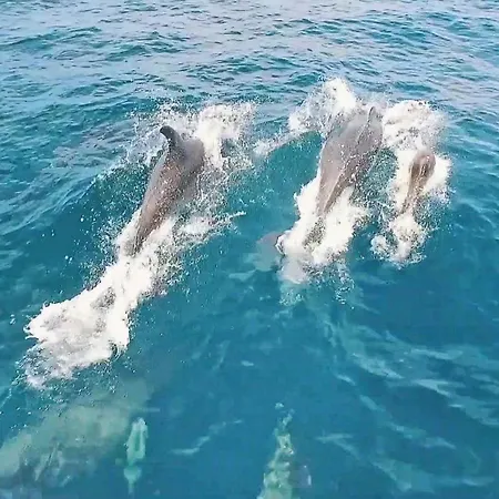 Ibiza By Algarve Vacation Villa