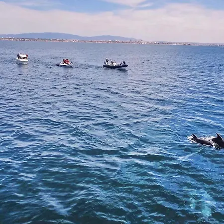 Ibiza By Algarve Vacation *